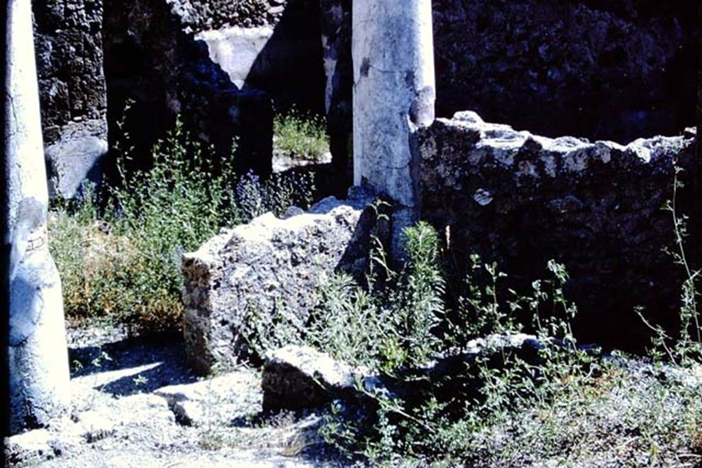 IX.3.15 Pompeii. 1966.  Room 12, looking towards south-west corner of garden area and doorway onto south portico. Photo by Stanley A. Jashemski.
Source: The Wilhelmina and Stanley A. Jashemski archive in the University of Maryland Library, Special Collections (See collection page) and made available under the Creative Commons Attribution-Non Commercial License v.4. See Licence and use details.
J66f0376
