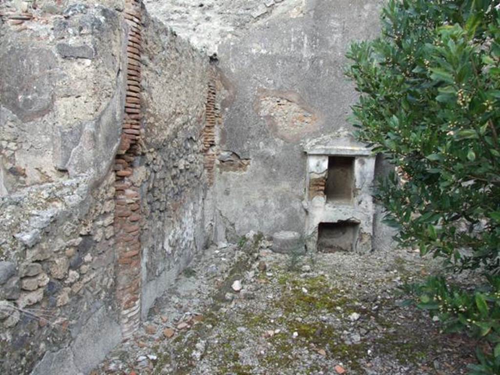 IX.3.15 Pompeii.  March 2009.   Room 12.  Garden area.  East wall.

