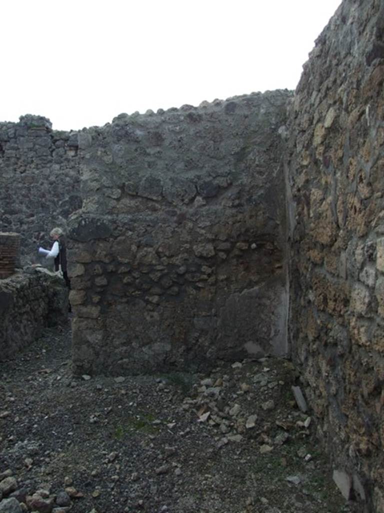 IX.3.15 Pompeii.  March 2009.   Room 14.  Triclinium.  West wall.