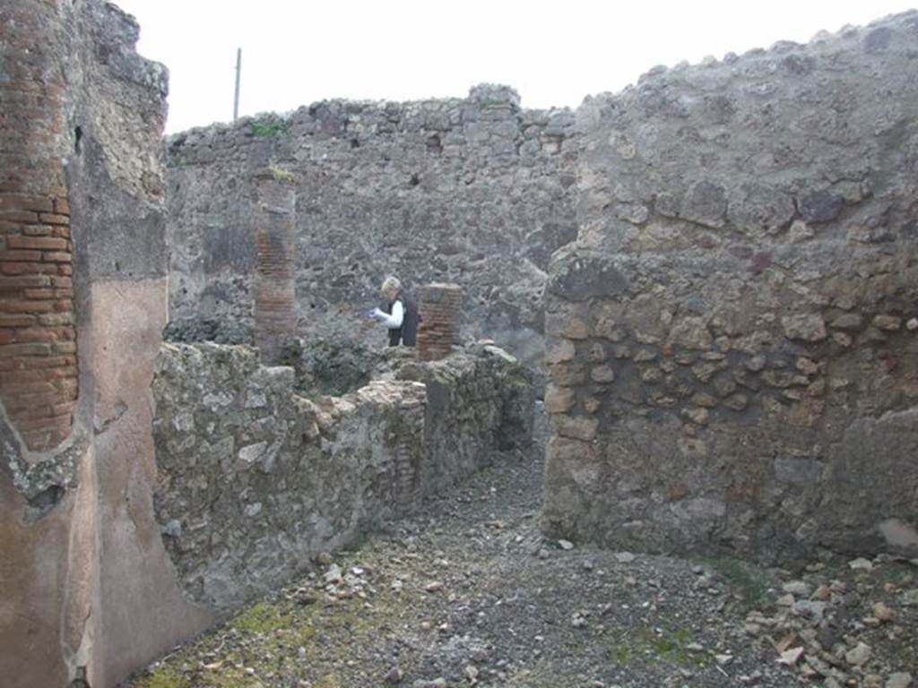 IX.3.15 Pompeii. March 2009. Room 14, south wall of triclinium, overlooking garden through remains of window. According to Jashemski, Later part of the north portico was closed in to make a windowed triclinium.  
See Jashemski, W. F., 1993. The Gardens of Pompeii, Volume II: Appendices. New York: Caratzas. (p.234, no.481).

  
