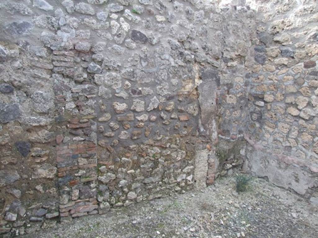 IX.3.15 Pompeii.  March 2009.   Room 3. West wall.