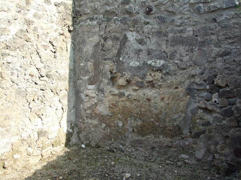 IX.3.15 Pompeii.  March 2009.   Room 3. South wall.