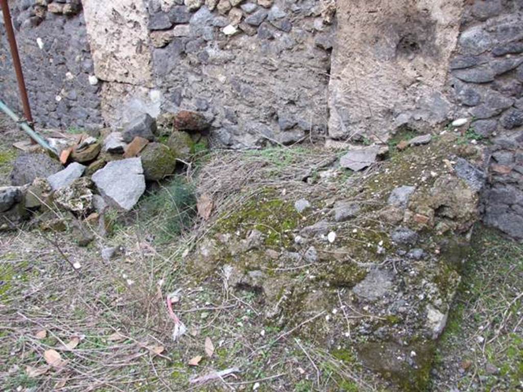 IX.8.6 Pompeii. March 2009.   Room 44,  Large room of IX.8.3.   Looking north.  