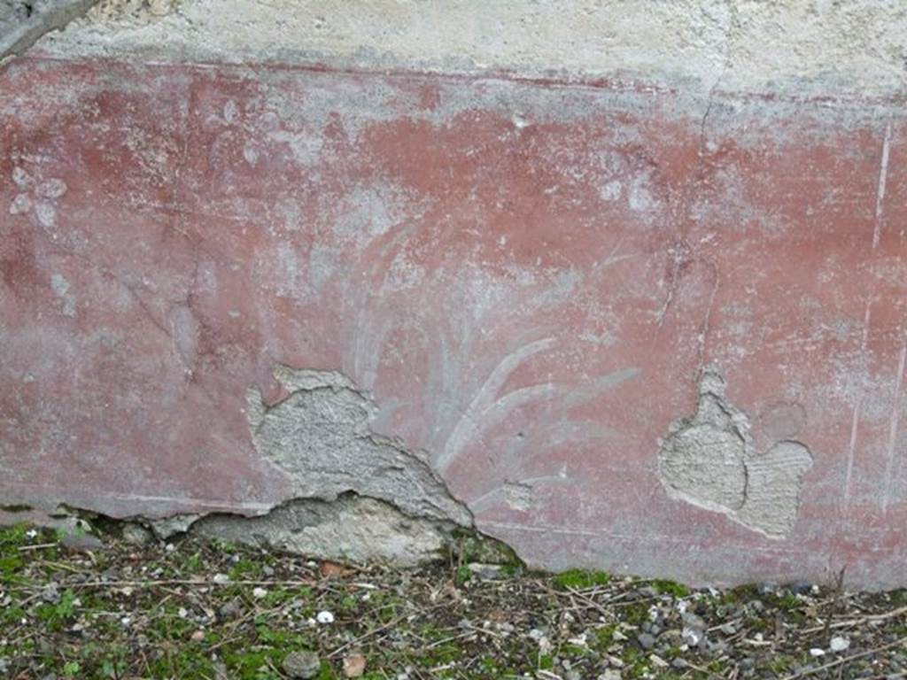 IX.8.6 Pompeii. March 2009.   Room 45, room of IX.8.3. Remains of red zoccolo painted with garden plants. The red zoccolo, with plinth, was painted in panels showing flowering plants alternating with bushes with lanceolate leaves, separated by narrow compartments.  The middle zone of the wall, above the zoccolo, was painted white
