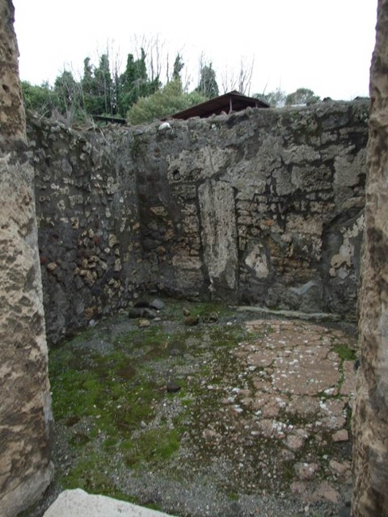 IX.8.6 Pompeii. March 2009.  Room 5.  North wall.