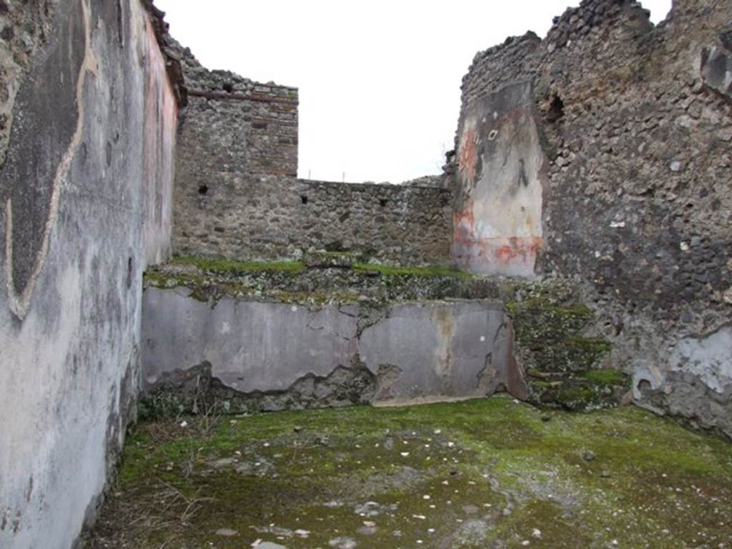 IX.8.6 Pompeii. March 2009. Room 31, frigidarium with pool, looking south. According to PPM, the pool was reached by climbing up three steps, and then by going down into the pool by two steps. The steps were coated with Opus signinum plaster painted azure blue, as also was the inside of the pool.  The outside wall of the pool was painted as imitation marble in slabs of numidian. Found on the east and west walls (left and right walls) were nilotic scenes, but today totally illegible. The floor was made of cocciopesto with rows of large white tesserae.
