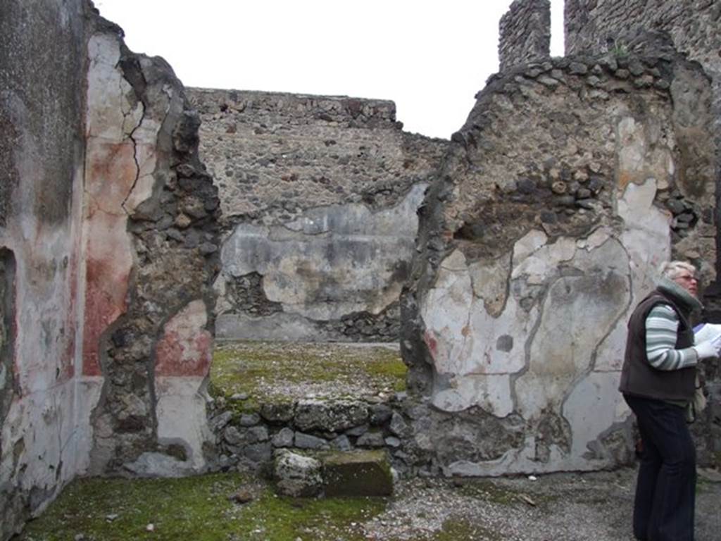 IX.8.6 Pompeii. March 2009.   Room 31, North wall, with steps leading to Room 32.