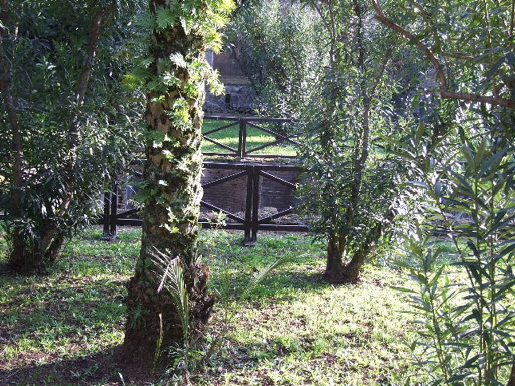 HGW24 Pompeii. December 2006. Looking south across view of pool across garden. 