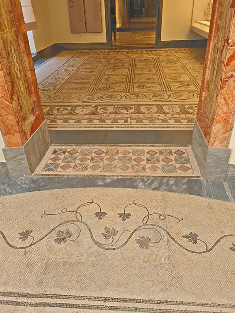 Mosaic floor in Naples Archaeological Museum, 
Room CXXXIV (134), looking from doorway threshold and room CXXXV (135). June 2024. Photo courtesy of Giuseppe Ciaramella.
According to Abbate - in the index for the 1859 edition - 
No.96 would appear to be a mosaic floor, as seen in the centre of the above floor.
In the index it is provenanced from the Villa of Diomedes at Pompeii?
No.97 would appear to be the above border/edge of the mosaic floor and is also said to be from Villa of Diomedes.
See Raccolta de più interessante Dipinture e di più belle Musaici rinvenuti negli Scavi di Ercolano, di Pompei, e di Stabia. 1859. Napoli.
By the 1865 and 1871 edition with index, these mosaics are just quoted as being from Pompeii.
However, the border/edge may be from VI.17.9/10 (?).

Both mosaics are now set in the floor of the Naples Museum, in the pinacoteca, sala 4.
See Allroggen-Bedel - Die malereien aus dem Haus Insula Occidentalis 10, (page 163-5).
(Note: Now in Room CXXXIV, (134).
