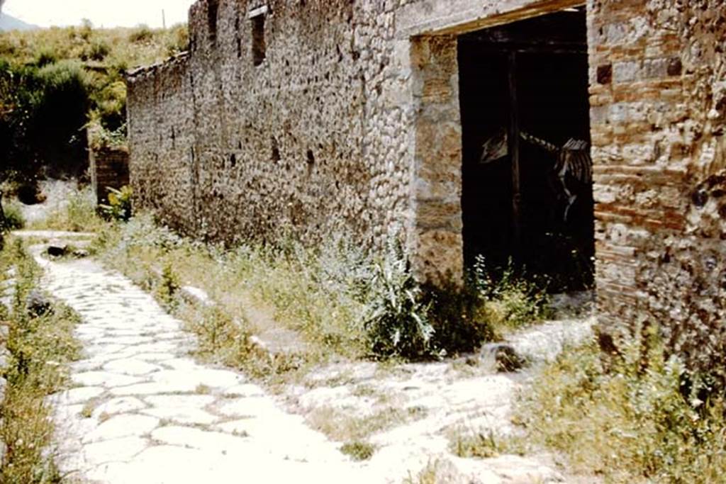 Unnamed vicolo between I.9 and I.8. 1961. Looking south towards Via di Castricio, from I.8.12. Photo by Stanley A. Jashemski.
Source: The Wilhelmina and Stanley A. Jashemski archive in the University of Maryland Library, Special Collections (See collection page) and made available under the Creative Commons Attribution-Non Commercial License v.4. See Licence and use details.
J61f0341