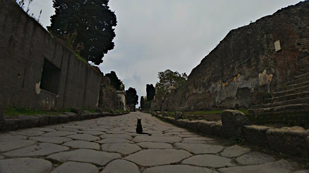 Via dei Sepolcri, Pompeii. 2016/2017.
Looking south from near Villa of Diomedes, steps on right. Photo courtesy of Giuseppe Ciaramella.