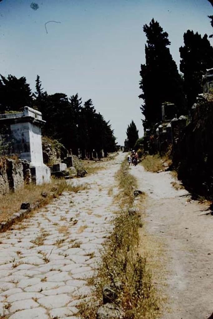 Via dei Sepolcri, Pompeii. 1957. Looking south towards the Herculaneum gate. Photo by Stanley A. Jashemski.
Source: The Wilhelmina and Stanley A. Jashemski archive in the University of Maryland Library, Special Collections (See collection page) and made available under the Creative Commons Attribution-Non Commercial License v.4. See Licence and use details.
J57f0396