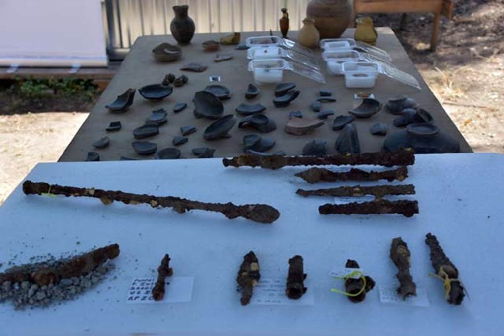 Santuario extraurbano del Fondo Iozzino. 2014 excavations. Finds including weapons in the foreground with pottery and jewellery at the rear.
Among the weapons found were short swords, around twenty spearheads made of iron, and sometimes with bronze handles, javelin tips, an iron sceptre - exceedingly rare in Southern Italy - and a large bronze shield with a decorated inner band into which the arm was placed.
Reperti che includono armi in primo piano con ceramiche e gioielli nella parte posteriore.
Tra le armi trovate c'erano spade corte, una ventina di punte di lancia in ferro, e talvolta con maniglie di bronzo, punte di giavellotto, uno scettro di ferro - estremamente raro nel sud Italia - e un grande scudo in bronzo con una fascia interna decorata in cui è stato collocato il braccio.
Photograph © Parco Archeologico di Pompei.