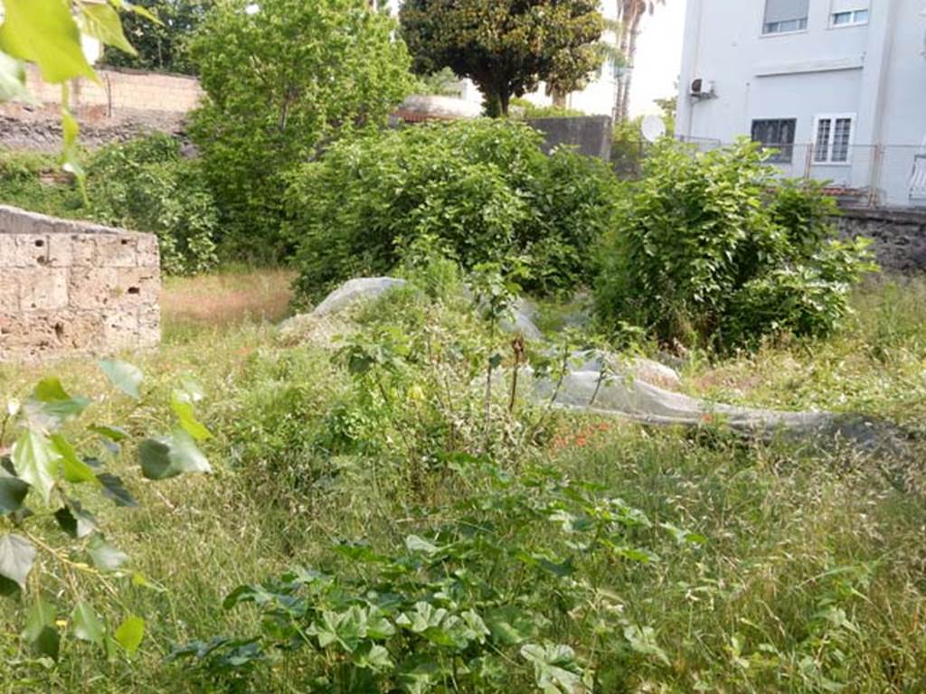 Santuario extraurbano del Fondo Iozzino. May 2018. South-east corner of site.
Photo courtesy of Buzz Ferebee.