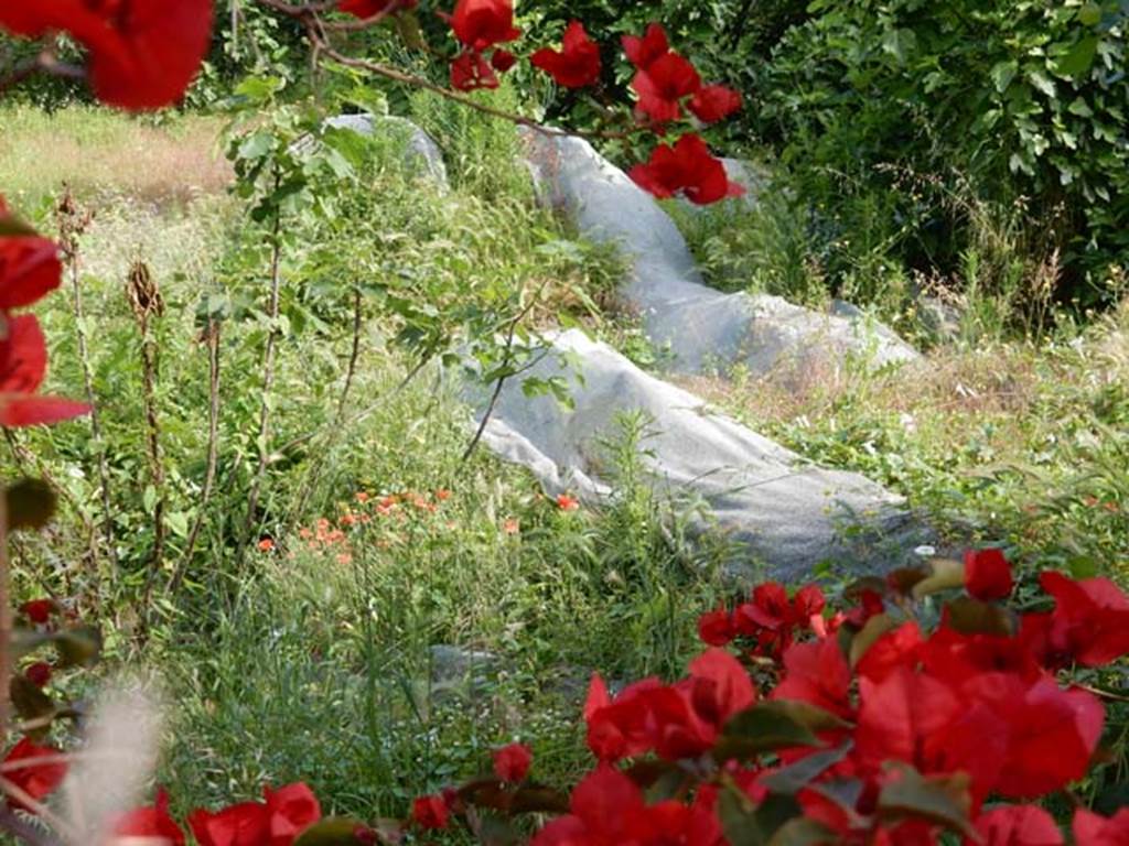 Santuario extraurbano del Fondo Iozzino. May 2018. Covered items in south-east corner of site.
Photo courtesy of Buzz Ferebee.