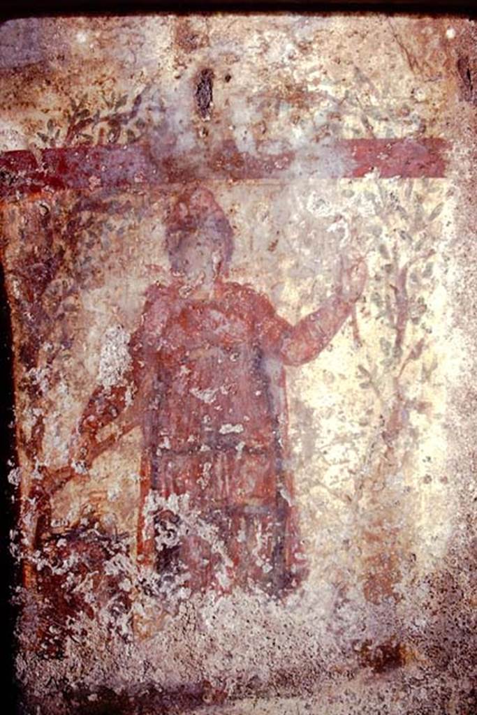 SSanta Maria Capua Vetere, Mithraeum. 1974. Figure on south wall.
Photo by Stanley A. Jashemski.
Source: The Wilhelmina and Stanley A. Jashemski archive in the University of Maryland Library, Special Collections (See collection page) and made available under the Creative Commons Attribution-Non Commercial License v.4. See Licence and use details.
J74f0587
According to Minto, the figure holds a torch pointing downwards in the right hand.
This may be a personification of Sol Occidens.
See Notizie degli Scavi di Antichità, 1924 p. 364, fig. 8.