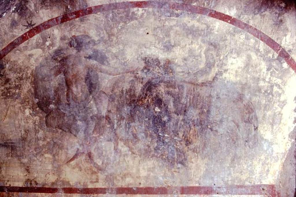 Santa Maria Capua Vetere, Mithraeum. 1974. Fresco of Luna/Diana on the East wall.
Photo by Stanley A. Jashemski.
Source: The Wilhelmina and Stanley A. Jashemski archive in the University of Maryland Library, Special Collections (See collection page) and made available under the Creative Commons Attribution-Non-Commercial License v.4. See Licence and use details.
J74f0581
In an arch-shaped frame the representation of Luna, seated in a biga (two wheeled chariot).
She is dressed in a green tunica, leaving the brownish back uncovered.
Of the horses, which are driven with the aid of whip and reins, the darkish one with drooping head is moving already, whereas the grey horse, turning its head towards the goddess, seems to be waiting a signal.
See Vermaseren M. J., 1971. Corpus Inscriptionum et Monumentorum Religionis Mithriacae, p. 107, no. 184, fig. 55.