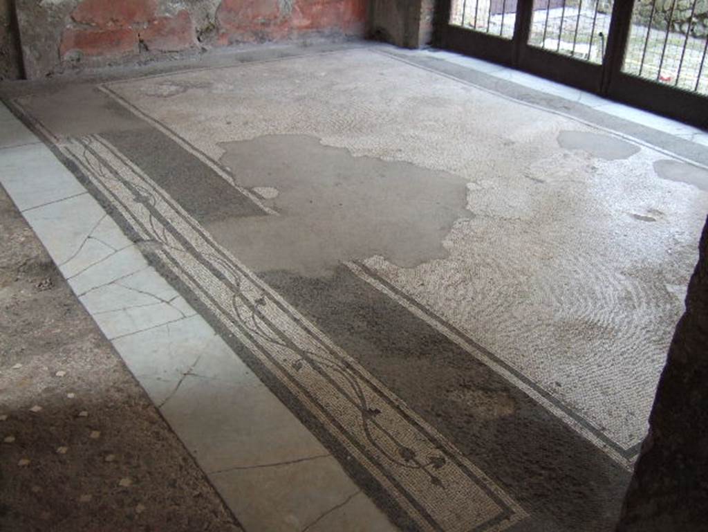 III.11 Herculaneum. May 2006. Room 9, looking across tablinum flooring.  