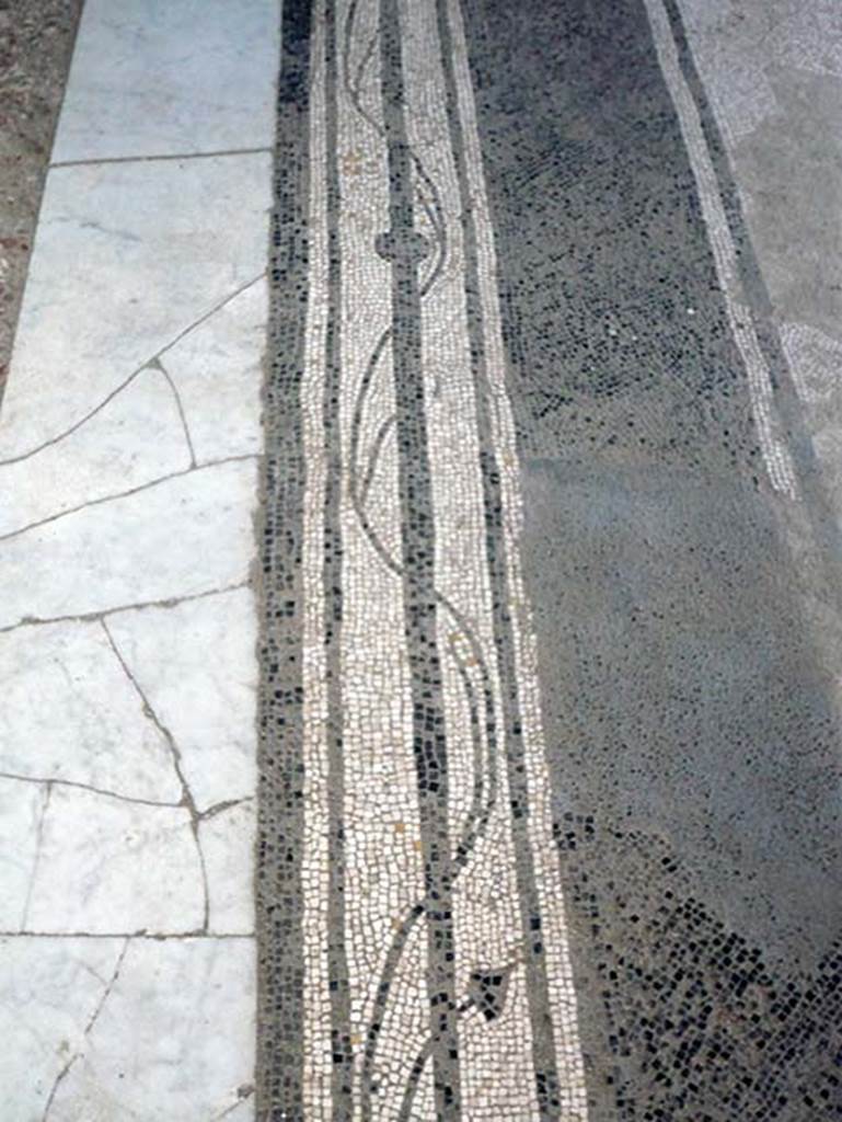 III.11 Herculaneum. August 2013. Room 9, threshold to doorway between tablinum and atrium. Photo courtesy of Buzz Ferebee.
