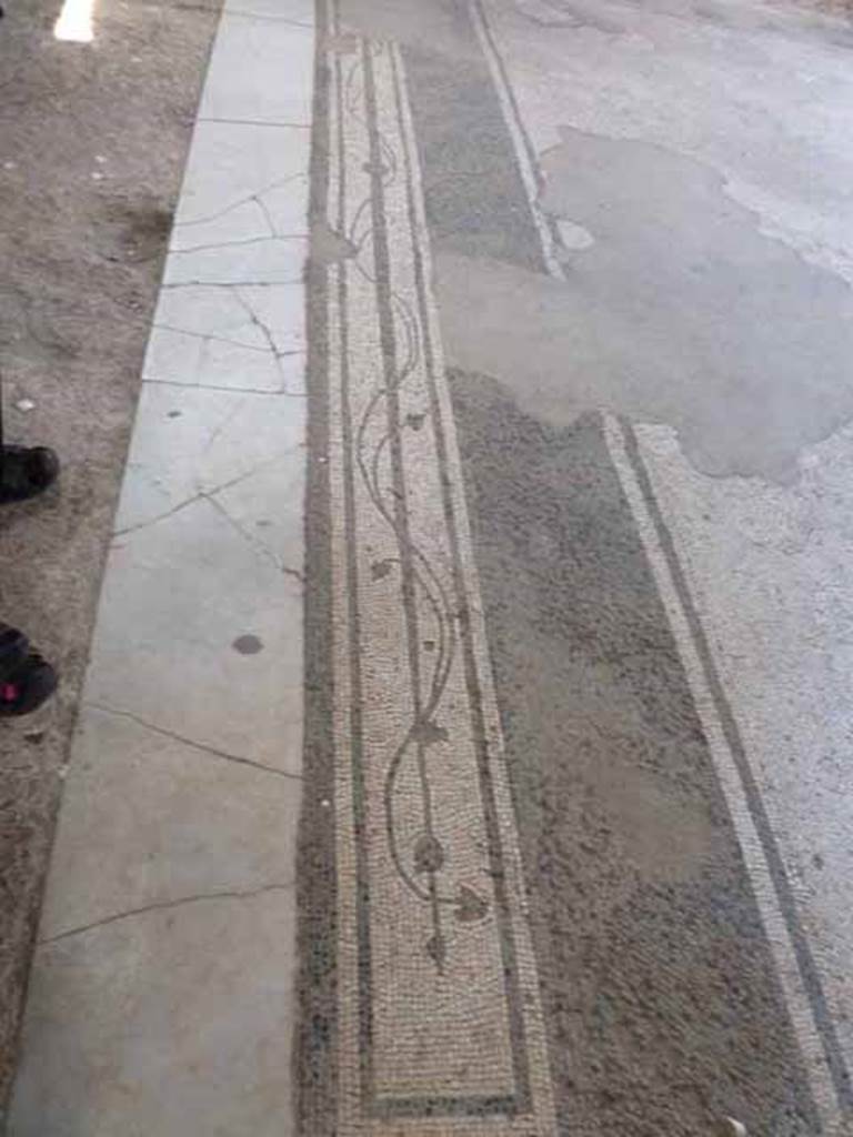 III.11 Herculaneum. May 2010. Room 9, threshold in flooring. 