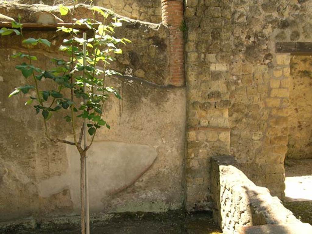 III.11 Herculaneum. May 2005. South wall of garden peristyle. Photo courtesy of Nicolas Monteix.