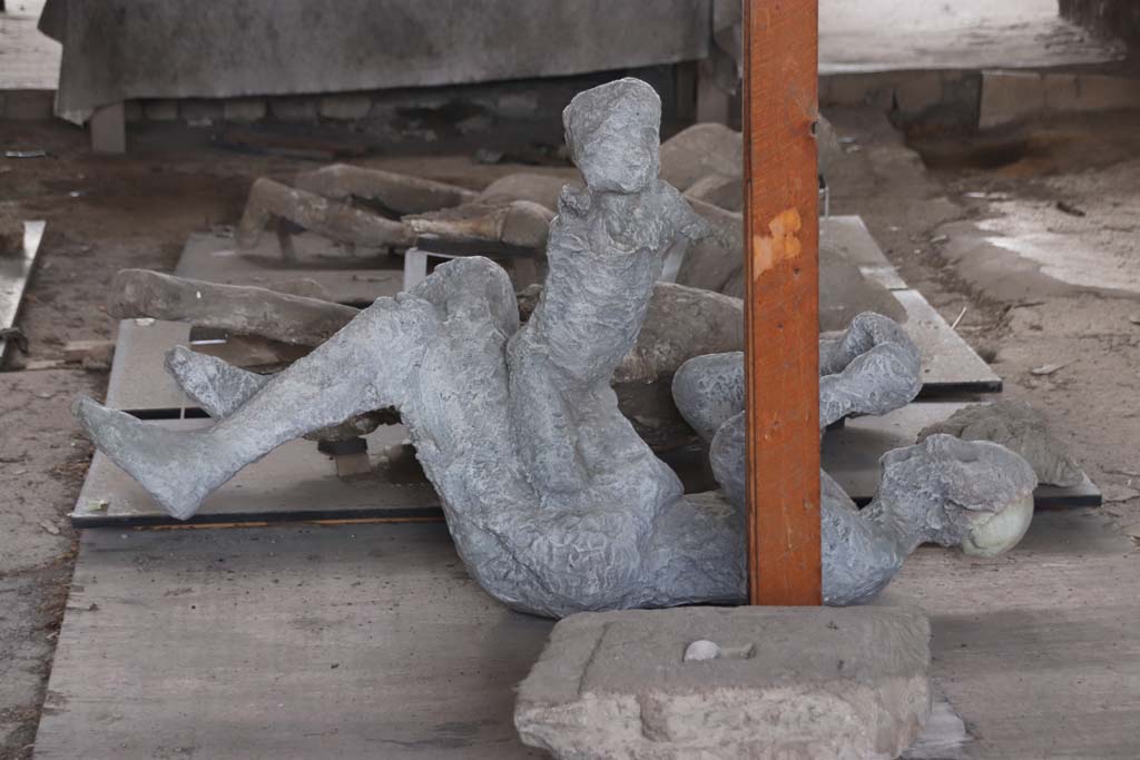VI.17.42, Pompeii, October 2020. Plaster cast of a man (victim 52) and child (51) found in the corridor leading to the garden area.
Photo courtesy of Klaus Heese. 
According to Estelle Lazer, it is extremely difficult to determine sex of this child from skeletal evidence. 
The mixed dentition observed in the mandible indicates an age-at-death of at least five to six years, depending on the sex of the individual. 
There is extensive reconstruction of the lower torso which indicates that more research is required to understand how this cast was achieved.
See Lazer E., et al. 2020. Inside the Casts of the Pompeian Victims: Results from the First Season of the Pompeii Cast Project In 2015. Papers of the British School at Rome.
