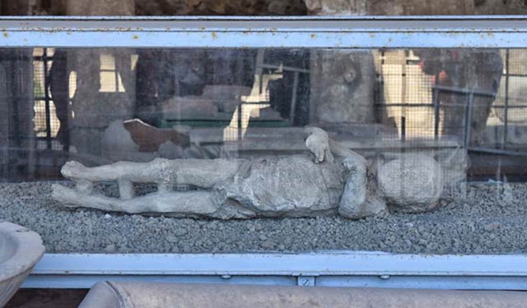VII.7.29 Pompeii. Victim 53. April 2018. Plaster cast of a child found in a corridor of a lower level of the House of the Golden Bracelet, VI.17.42.
Photo courtesy of Ian Lycett-King. Use is subject to Creative Commons Attribution-NonCommercial License v.4 International.
