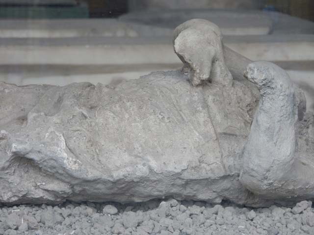 VII.7.29 Pompeii. Victim 53. May 2015. Detail from plaster cast of body ...