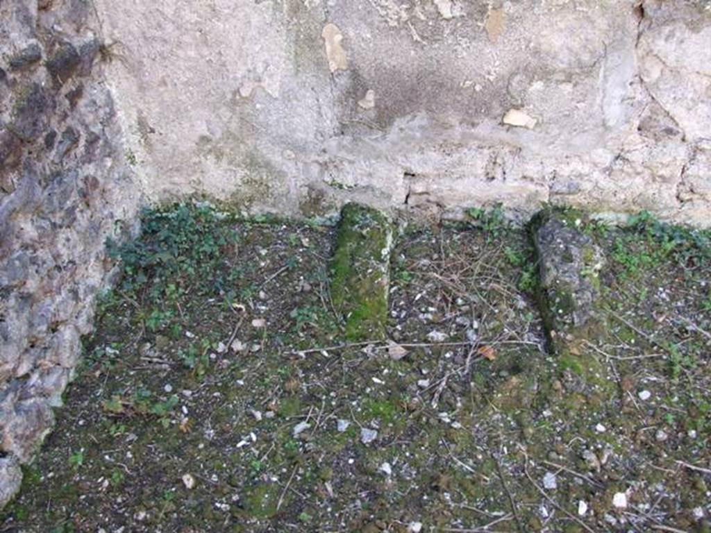 IX.9.11 Pompeii.  March 2009.  Room 6, Garden area.  South west corner, with rectangular basin. Above this was the Lararium painting, badly damaged when found. The Lararium included a painting of Bacchus, a male follower of Bacchus and two maenads, Agave with the head of Pentheus, and Silenus. See Jashemski, W. F., 1993. The Gardens of Pompeii, Volume II: Appendices. New York: Caratzas, p. 247. See Boyce G. K., 1937. Corpus of the Lararia of Pompeii. Rome: MAAR 14.  (463c).