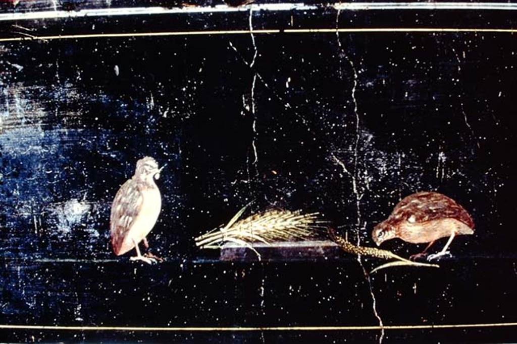PA.11. Painting of Birds, in Naples Museum. 1968. Photo by Stanley A. Jashemski. Where from ?
Source: The Wilhelmina and Stanley A. Jashemski archive in the University of Maryland Library, Special Collections (See collection page) and made available under the Creative Commons Attribution-Non Commercial License v.4. See Licence and use details.
J68f1624
