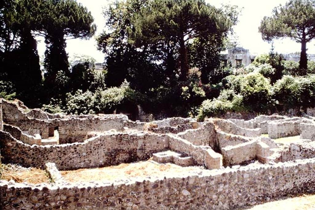 I.1.8 Pompeii. October 2024. Looking towards north-east corner and east wall. Photo courtesy of Klaus Heese.