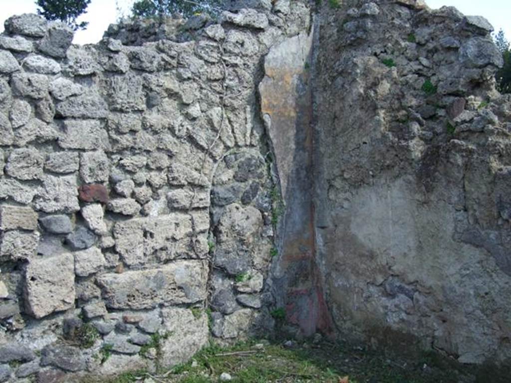 I.2.20 Pompeii.  March 2009.   East wall of Triclinium, and south east corner.