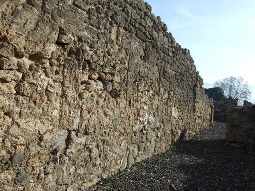 I.3.15 Pompeii.  December 2007.  East wall with corridor to rear rooms.