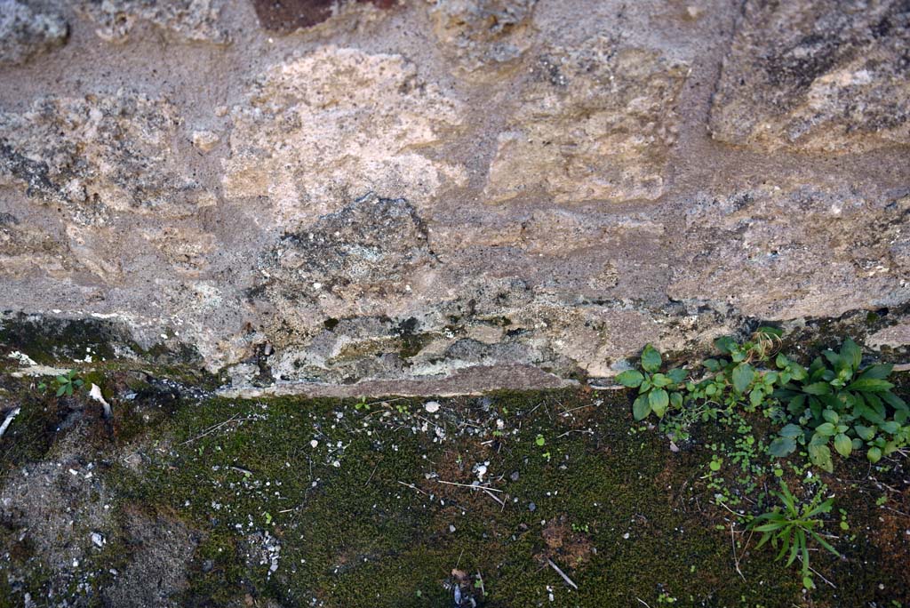 I.4.25/1.4.5 Pompeii. October 2019. Cubiculum 8, detail from west end of lower south wall.
Foto Tobias Busen, ERC Grant 681269 DCOR.
