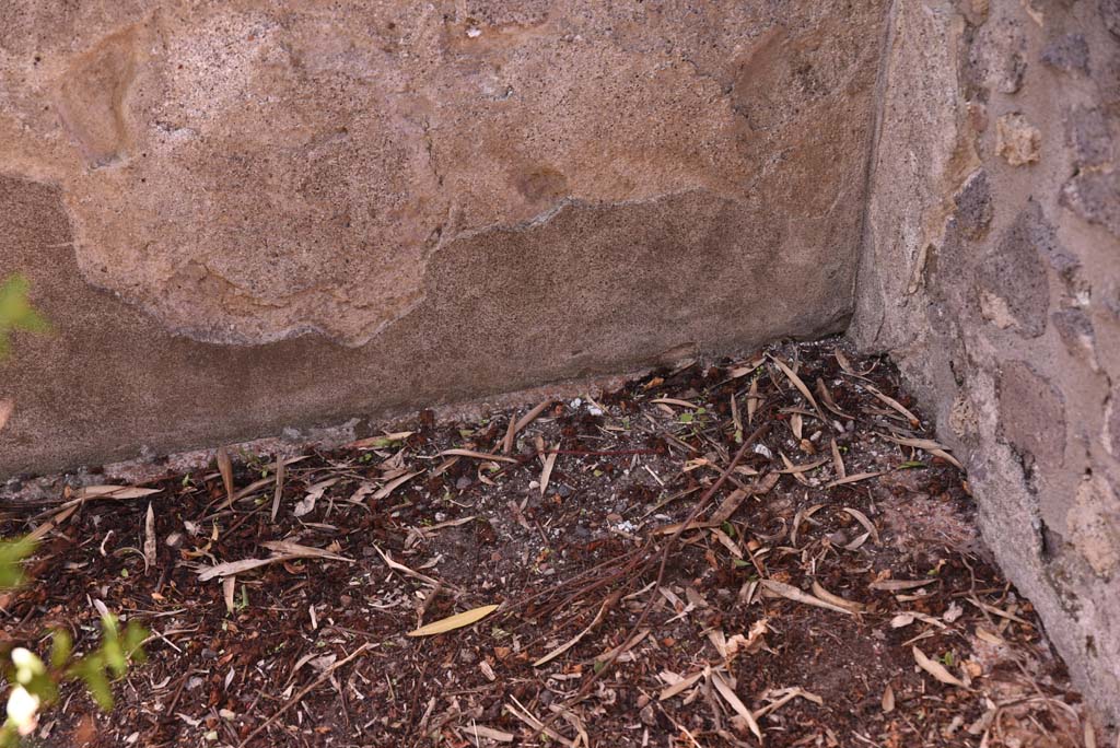 I.4.25 Pompeii. October 2019. Upper Peristyle 56, detail from west wall in north-west corner. 
Foto Tobias Busen, ERC Grant 681269 DCOR
