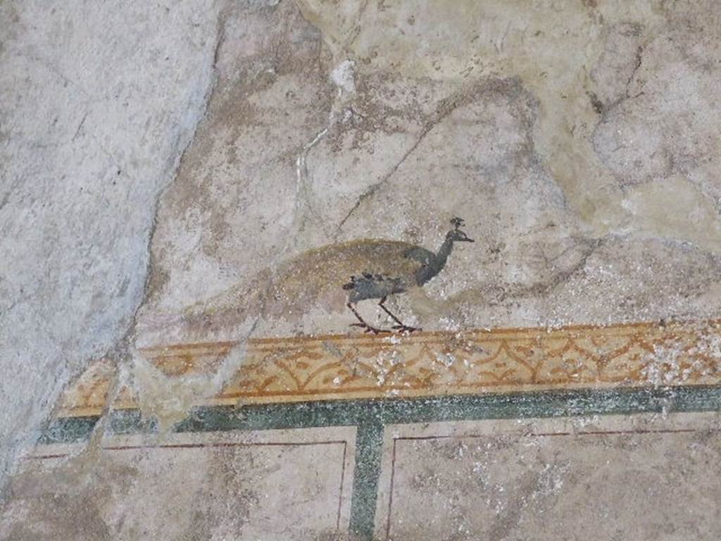 I.6.7 Pompeii. May 2016. Detail from south end of west wall. Photo courtesy of Buzz Ferebee.
