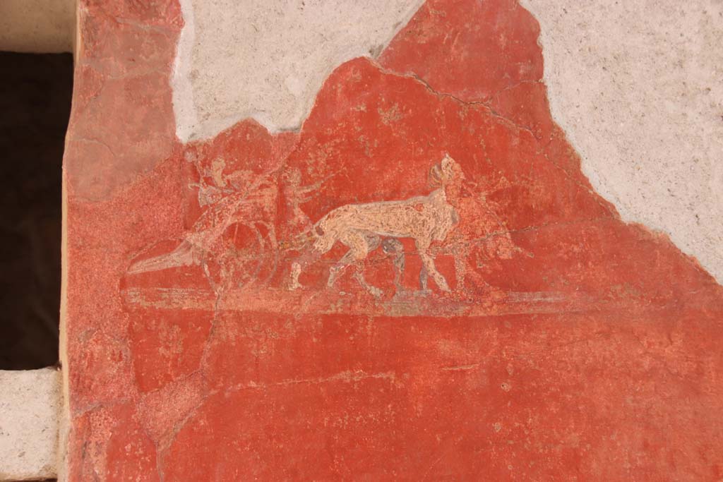 I.6.7 Pompeii. September 2019. 
Detail of fresco in north-east corner of atrium, on south side of doorway. Photo courtesy of Klaus Heese.
Kuivalainen describes –
A composition of a chariot drawn by two panthers on a red background. 
The two-wheeled chariot displays Bacchic attributes such as scyphus and cantharus, and a child figure leading the panthers beside the chariot.
Kuivalainen comments –
The painting is so damaged that the explanation cannot be explicit, with Bacchus however being a fair possibility. 
See Kuivalainen, I., 2021. The Portrayal of Pompeian Bacchus. Commentationes Humanarum Litterarum 140. Helsinki: Finnish Society of Sciences and Letters, (G20, p.201).

