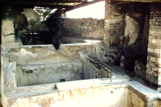 I.6.7 Pompeii. 1959. Middle vat connecting to front vat. Photo by Stanley A. Jashemski.
Source: The Wilhelmina and Stanley A. Jashemski archive in the University of Maryland Library, Special Collections (See collection page) and made available under the Creative Commons Attribution-Non Commercial License v.4. See Licence and use details.
J59f0178
