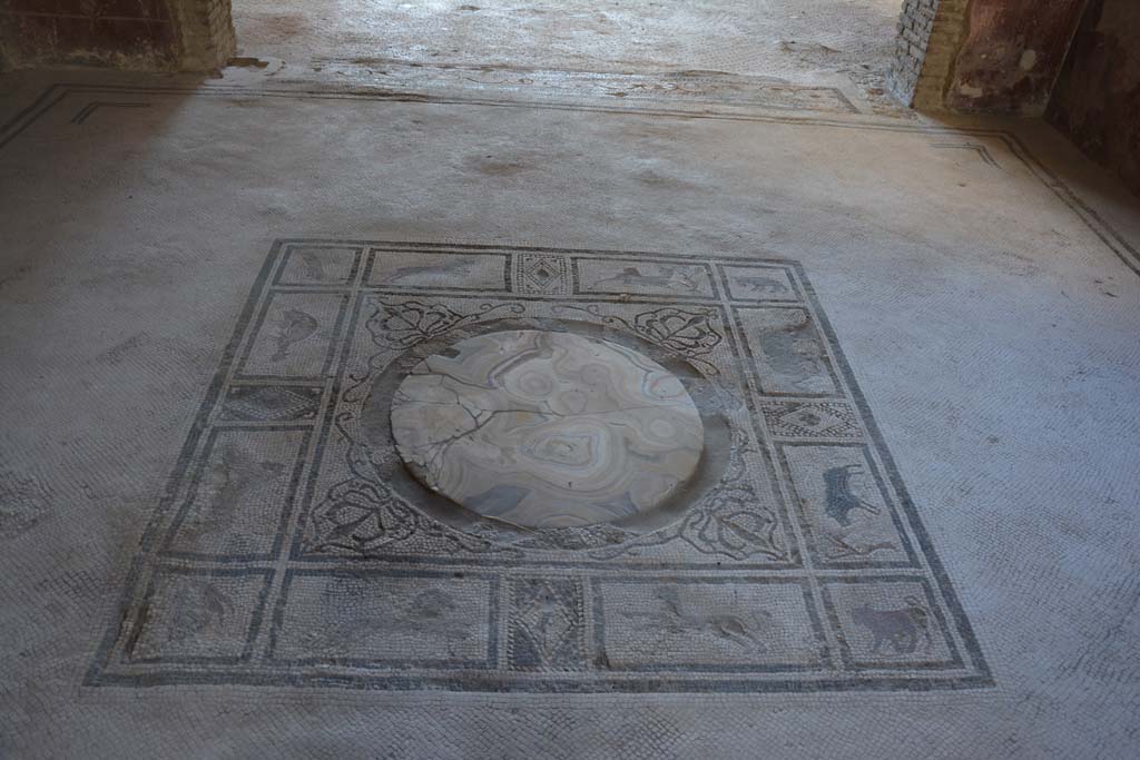 I.7.1 Pompeii. October 2019. Looking south across mosaic emblem in centre of tablinum floor.
Foto Annette Haug, ERC Grant 681269 DCOR.

