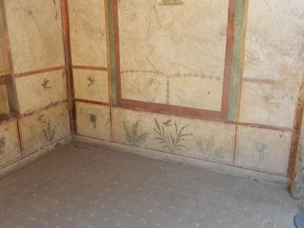 I.7.11 Pompeii. May 2017. Detail of zoccolo (lower wall) of south wall, with painted plants. Photo courtesy of Buzz Ferebee.
