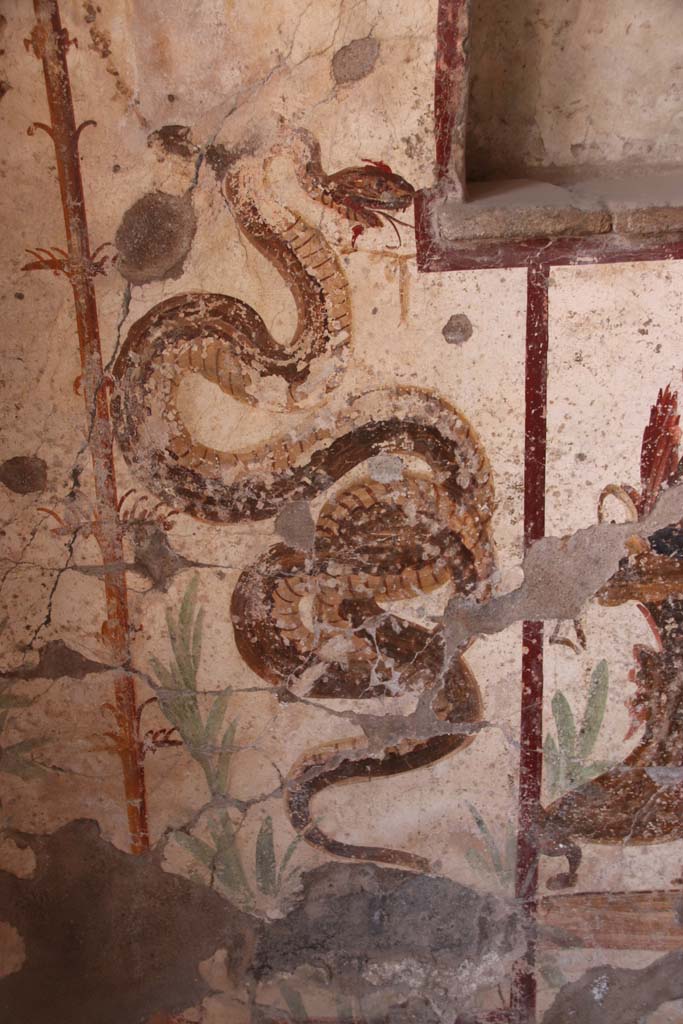 I.7.11 Pompeii. September 2021. Painted serpent on south side of painted altar. Photo courtesy of Klaus Heese.