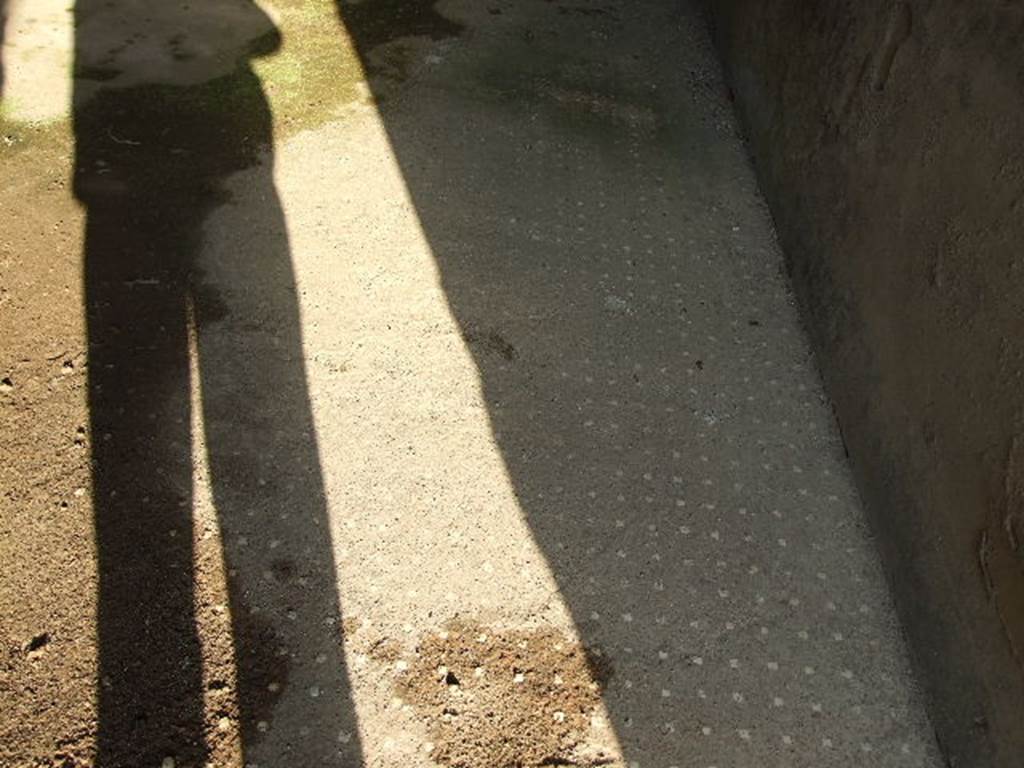 I.7.19 Pompeii. December 2006. Decorative floor in triclinium in north-east corner of atrium.  
The floor was cocciopesto with regularly spaced white “dots” of tesserae.
