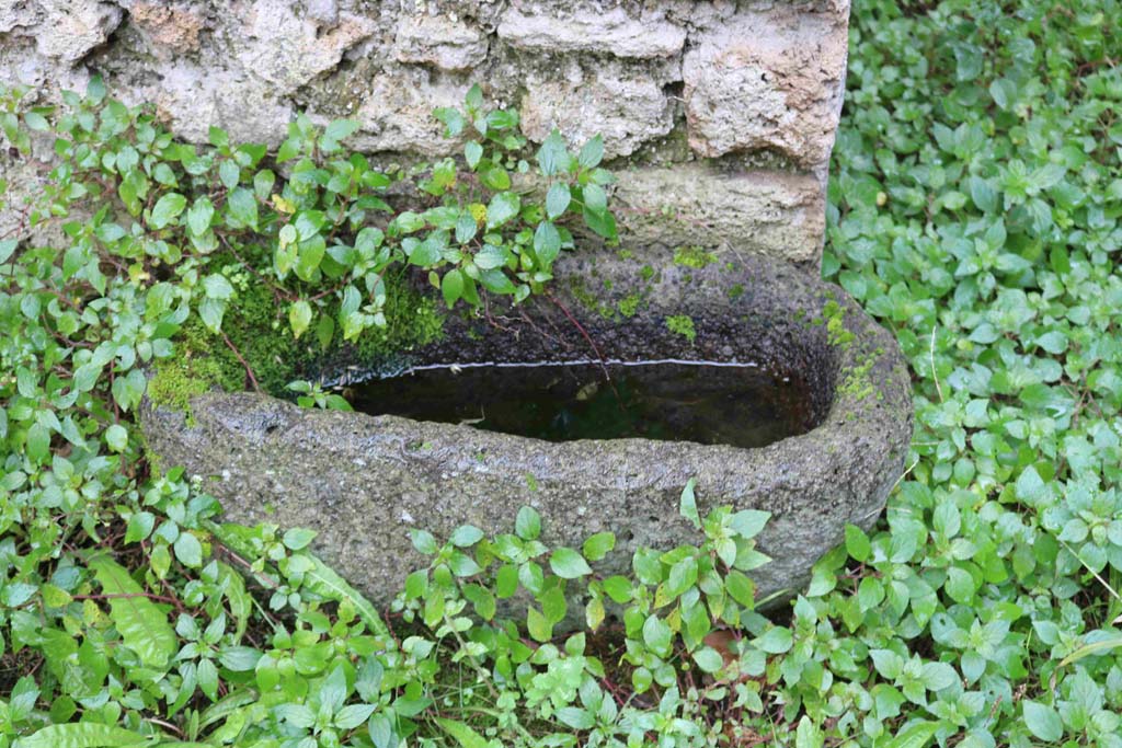 I.8.16 Pompeii. December 2018. Basin or trough next to south wall and near doorway to I.8.15. Photo courtesy of Aude Durand.