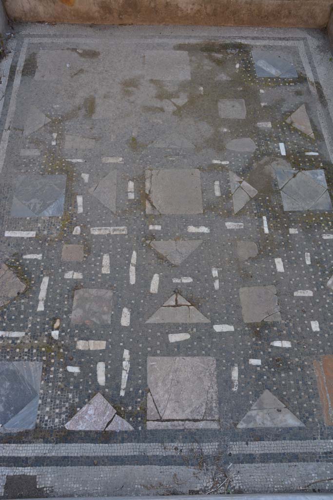 I.9.1 Pompeii. October 2019. Room 2, detail of “floor” of impluvium.
Foto Annette Haug, ERC Grant 681269 DÉCOR.
The impluvium’s background was of black mosaic with dots of white tesserae, tiles and flakes of polychrome marble, the walls and inner edge were of white marble with a rounded edge-strip. 

