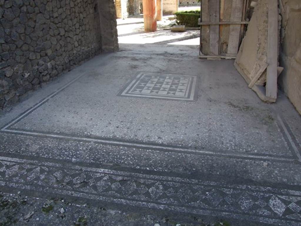 I.9.5 Pompeii. March 2009.  Room 8 Tablinum. Mosaic floor.