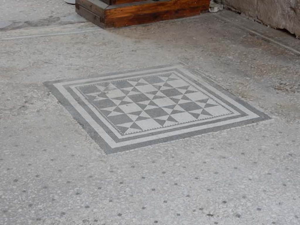 I.9.5 Pompeii. May 2016. Room 8, mosaic in centre of tablinum floor. Photo courtesy of Buzz Ferebee.