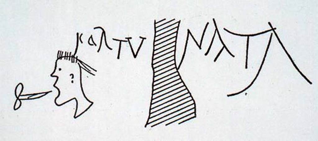 I.9.5 Pompeii. Between room 10 and room 11. 
Drawing of graffito of FORTVNATA      [CIL IV, 10005].


