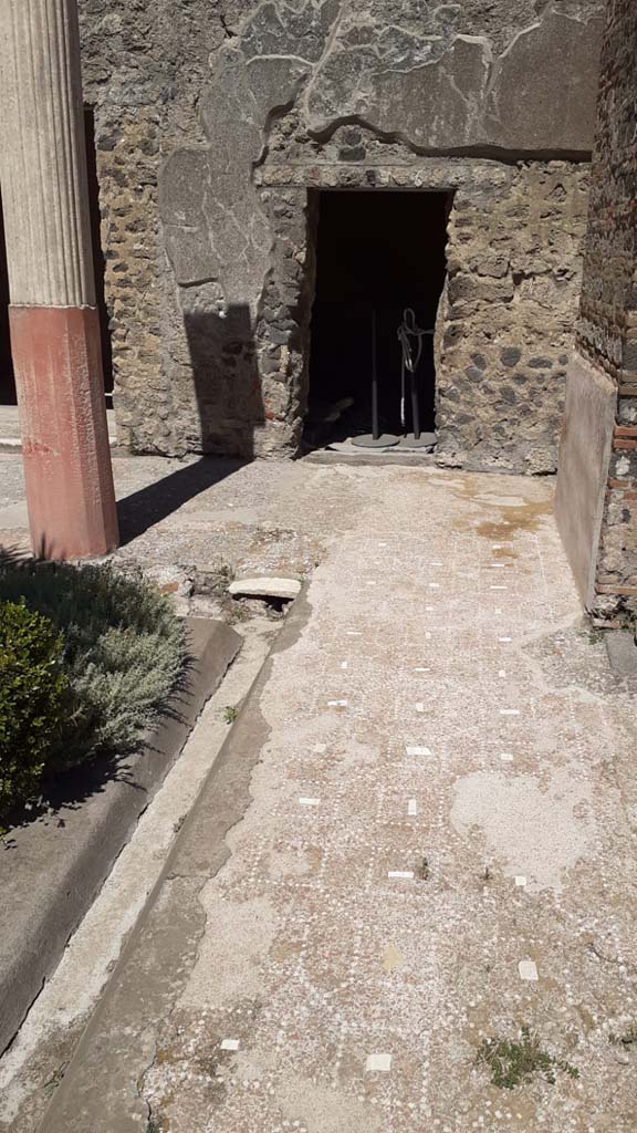 I.9.5 Pompeii. July 2021. 
Room 12, south side of peristyle, showing gutter and portico floor. Looking east.
Photo courtesy of Davide Peluso.
