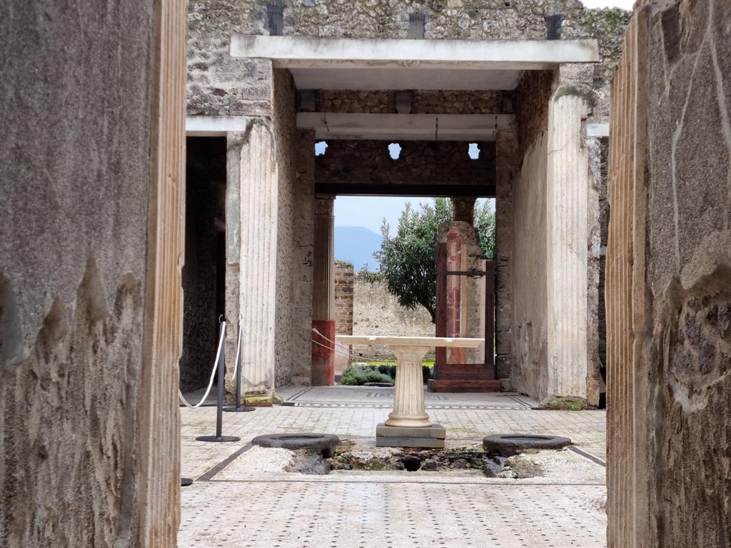 I.9.5 Pompeii. January 2023. Room 1, fauces. Looking south across atrium from entrance corridor. Photo courtesy of Miriam Colomer.