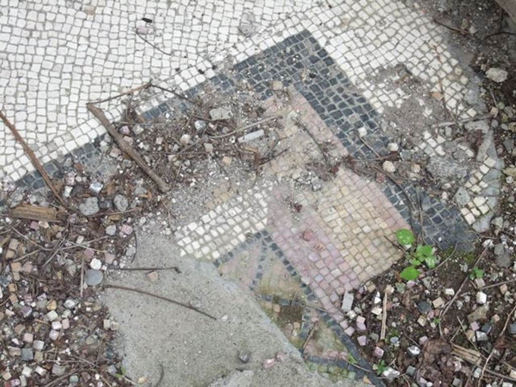I.9.14 Pompeii. March 2009.  Room 6.  Tablinum.  Mosaic floor.